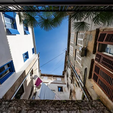 Апартаменты My Dalmatia - Luxury Domus Borelli *